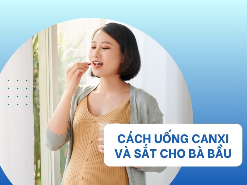 Hướng Dẫn Cách Uống Canxi Và Sắt Cho Bà Bầu Đúng Và An oàn