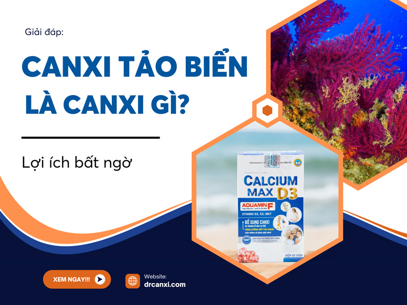 Canxi từ tảo biển là canxi gì?